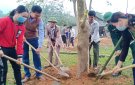 Xã Sơn Thủy tổ chức "Tết trồng cây đời đời nhớ ơn Bác Hồ" Xuân 2021.